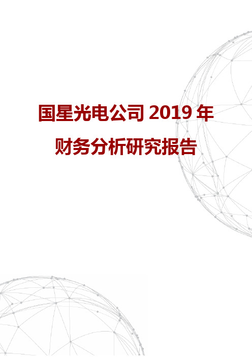 国星光电公司2019年财务分析研究报告