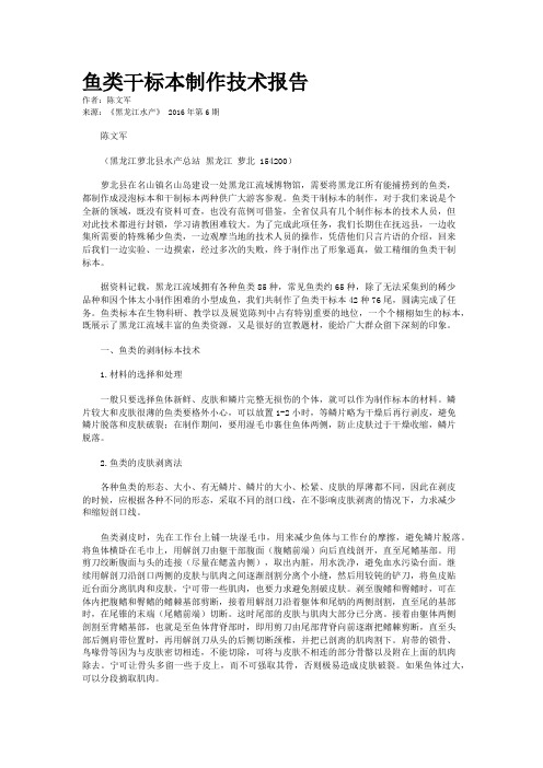 鱼类干标本制作技术报告