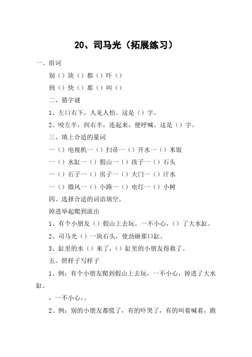 20、司马光(拓展练习)_教案教学设计