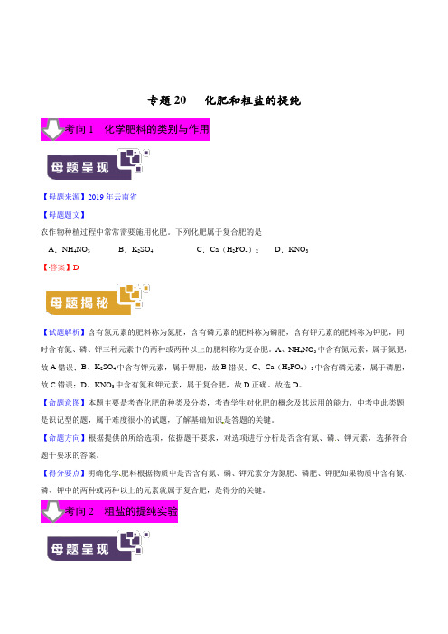39.中考化学专题20  化肥和粗盐的提纯 (解析版)
