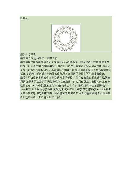 吸收(6)：脂质体与吸收.