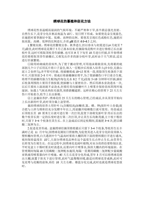 绣球花的纂殖和促花方法
