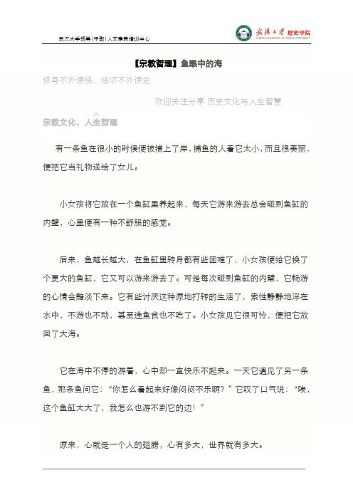 【宗教哲理】鱼眼中的海