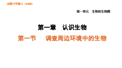 1.1.2 调查周边环境中的生物-2020年秋鲁科版(五四制)六年级上册生物习题课件(共35张PPT)