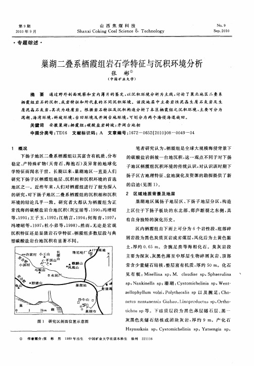 巢湖二叠系栖霞组岩石学特征与沉积环境分析