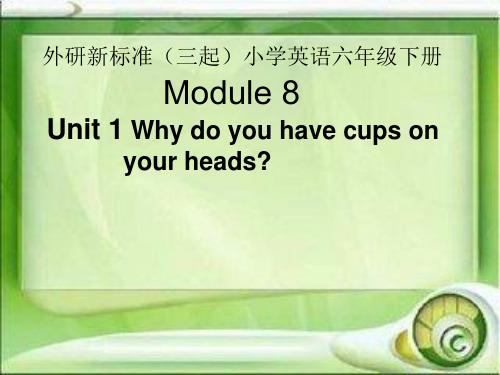 外研版(三起点)六年级英语下册PPT：Module8_Unit1_教学课件