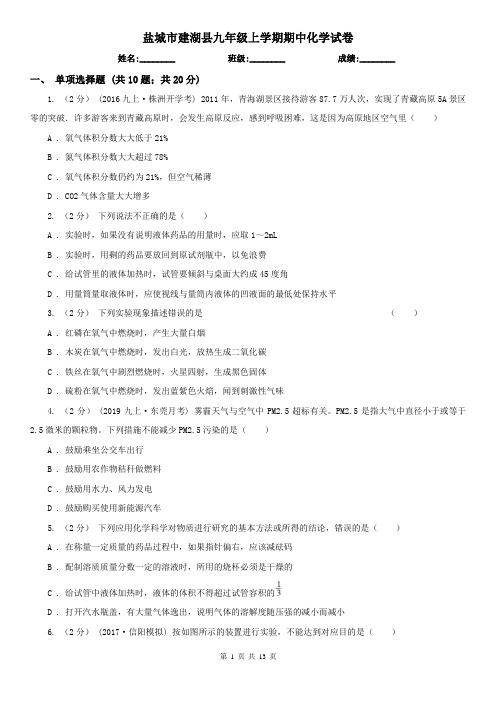 盐城市建湖县九年级上学期期中化学试卷
