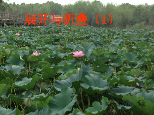 苏科版七年级数学上册5.3《展开与折叠》  .ppt课件