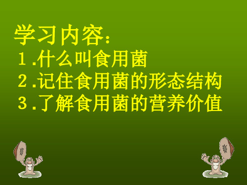 食用菌的形态结构及营养价值