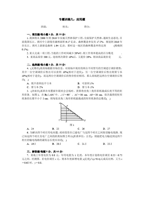 初中数学专题：应用题