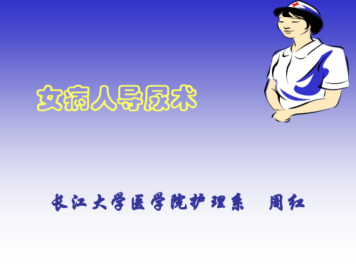 女病人导尿术