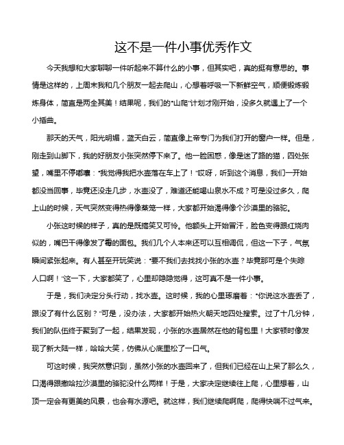 这不是一件小事优秀作文