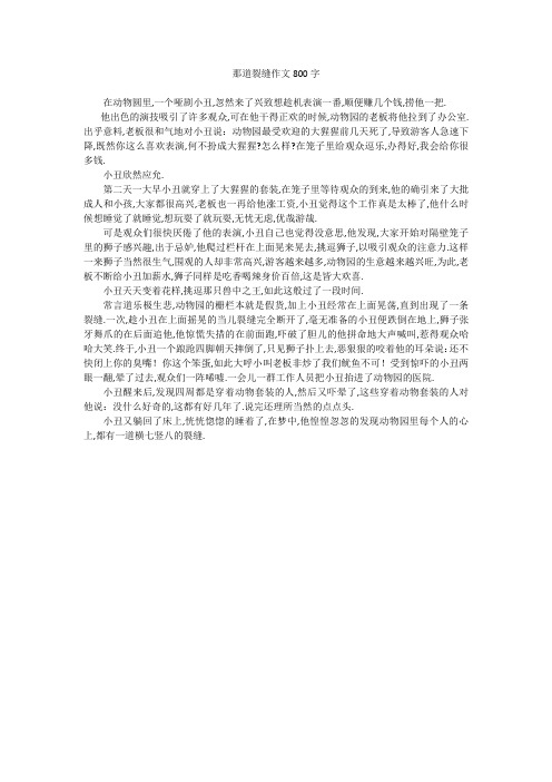 那道裂缝作文800字