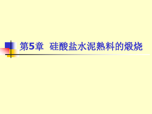 第5章 硅酸盐水泥熟料的煅烧