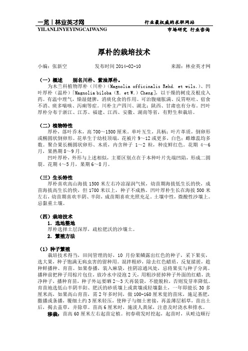 厚朴的栽培技术