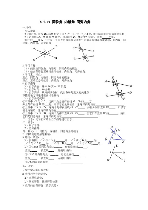 5.1.3同位角 内错角 同旁内角 导学案