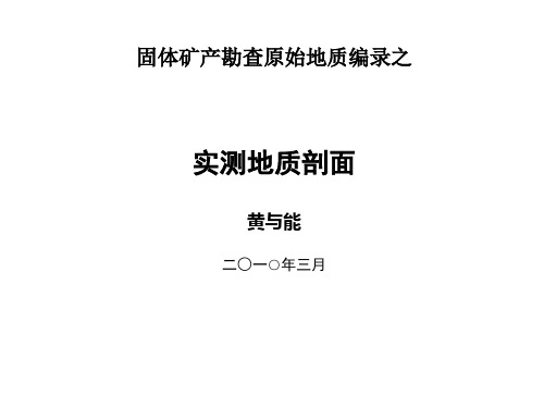 固体矿产勘查原始地质编录——实测地质剖面