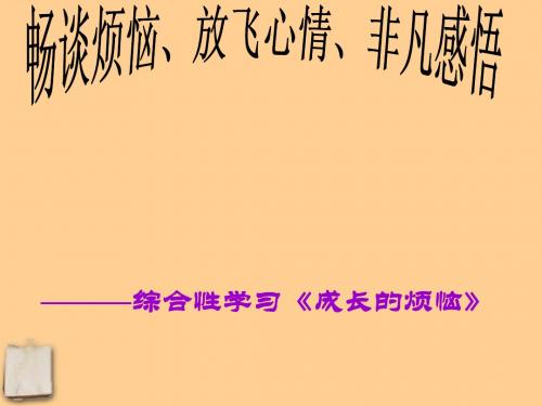 《成长的烦恼》概述