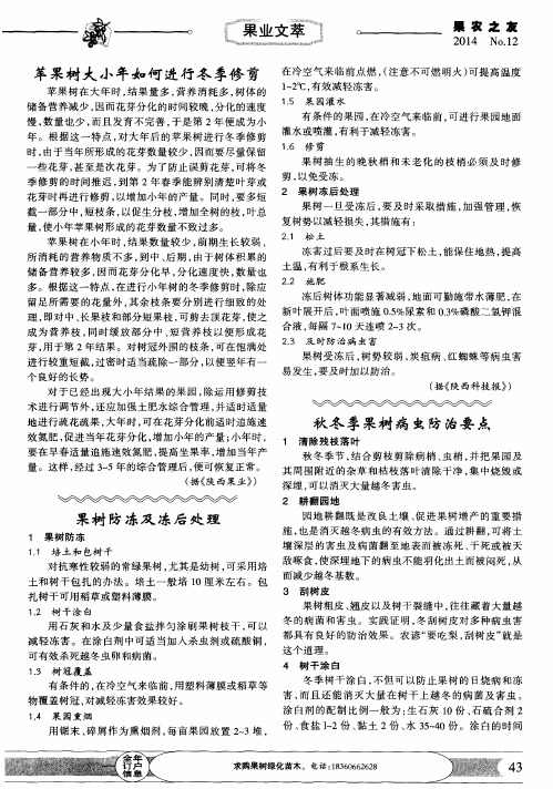 苹果树大小年如何进行冬季修剪