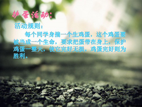 护蛋行动-作文课件