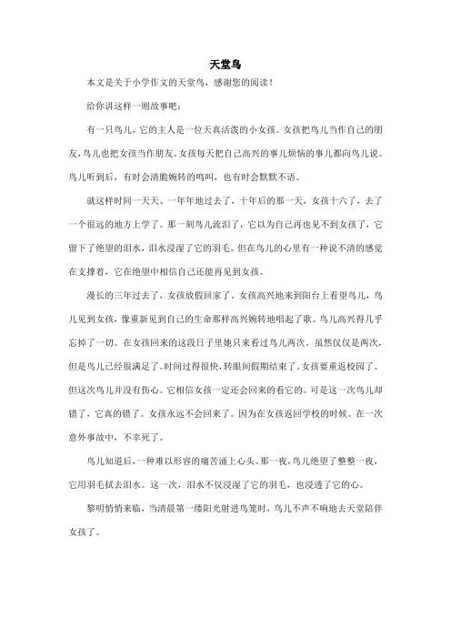 天堂鸟_小学作文