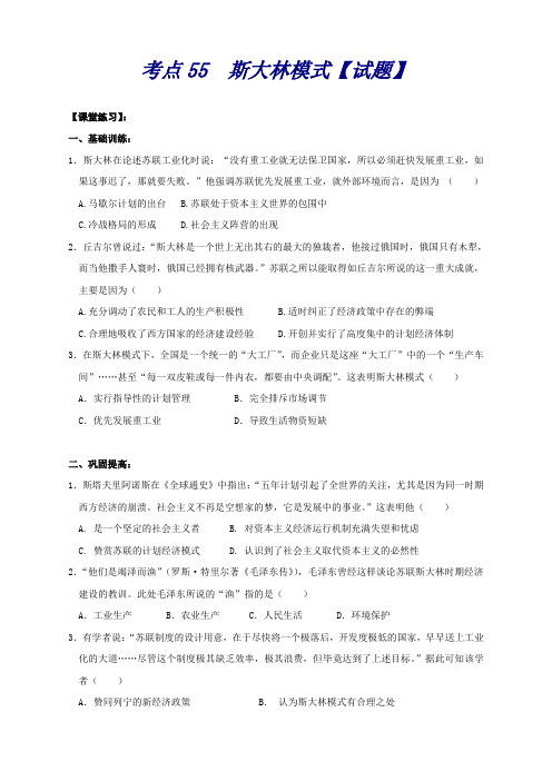 《高频考点》高中历史人教生考点习题演练考点55斯大林模式【试题】Word含答案