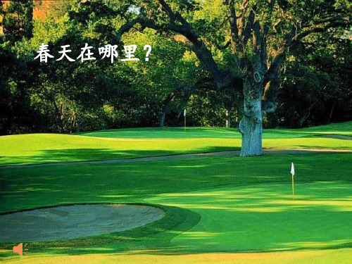 3只拣儿童多处行