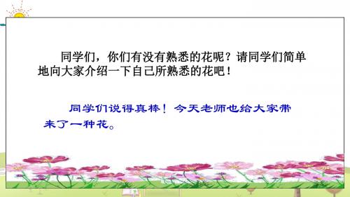 苏教小学语文六年级下册《19夹竹桃》PPT课件 (3)