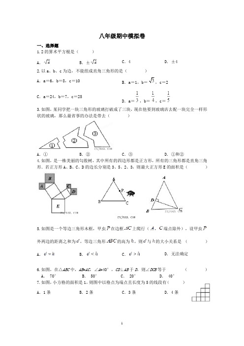 八上第10周期中复习
