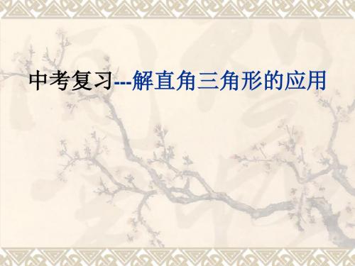 中考复习之解直角三角形的应用