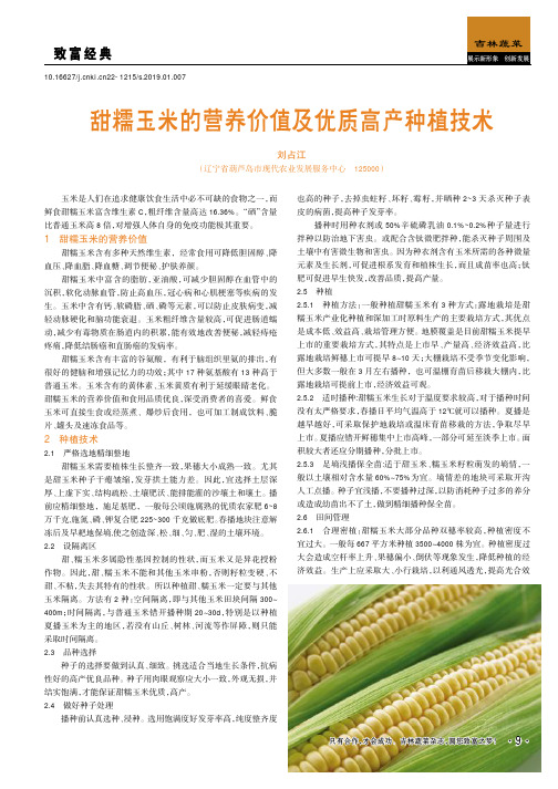 甜糯玉米的营养价值及优质高产种植技术