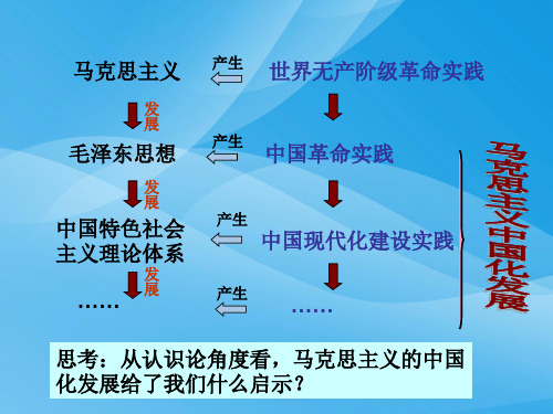 在实践中追求和发展真理PPT课件31 人教课标版