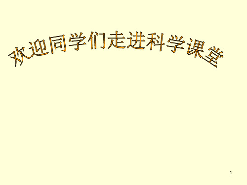 最新教科版四年级科学各种各样的岩石ppt课件