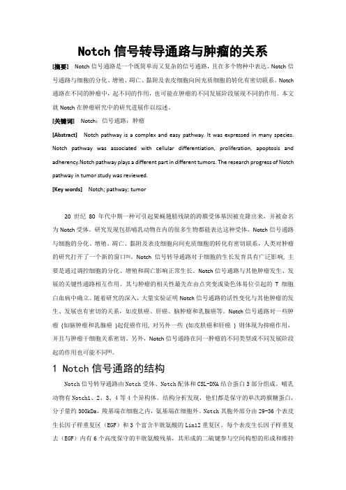 Notch信号转导通路与肿瘤的关系