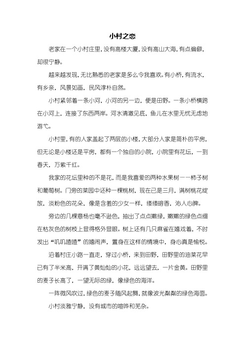 高一作文：小村之恋作文700字