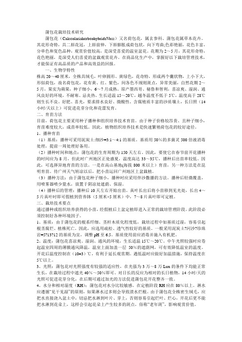 蒲包花栽培技术研究