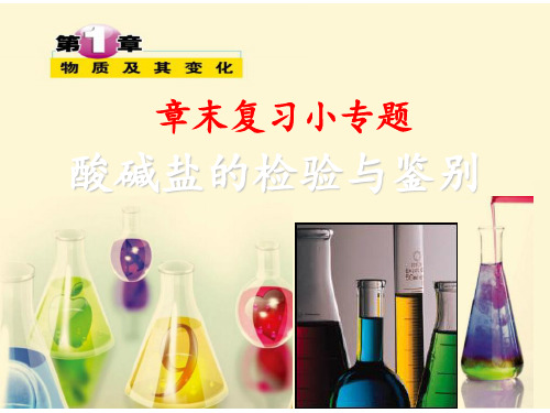 浙教版科学九年级上册第一章小专题：酸碱盐的检验鉴别(46张ppt)