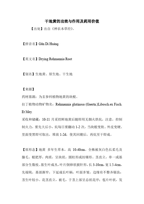 干地黄的功效与作用及药用价值