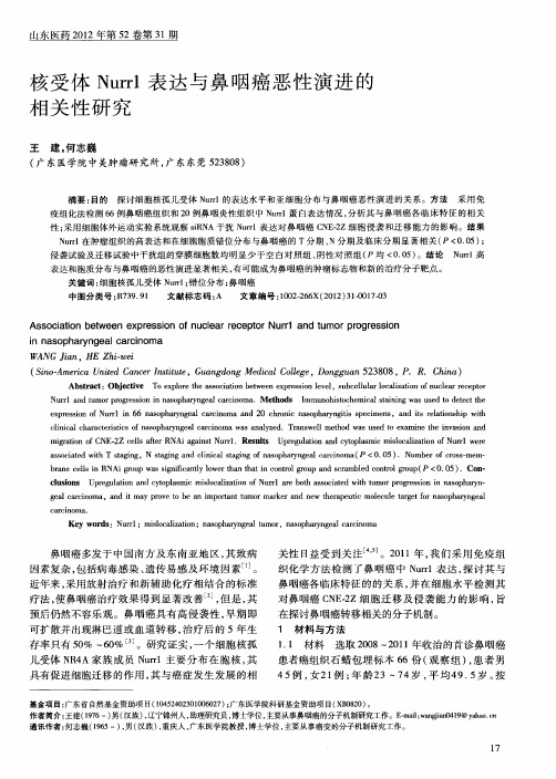 核受体Nurr1表达与鼻咽癌恶性演进的相关性研究