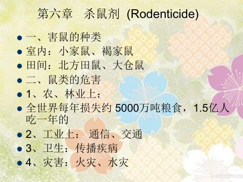 PPT教学课件杀鼠剂