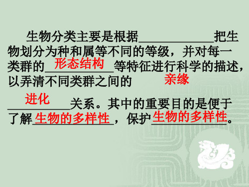 66从种到界PPT课件