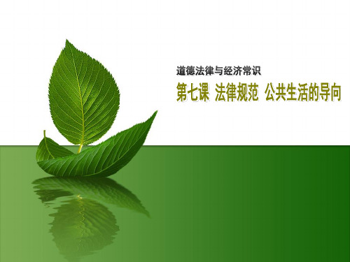 道德法律与经济常识第七课.