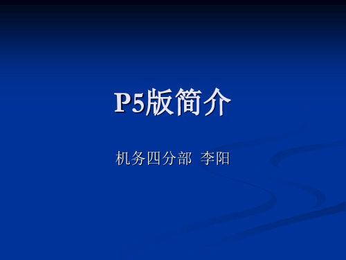 B737-800P5版各部分功能详细介绍