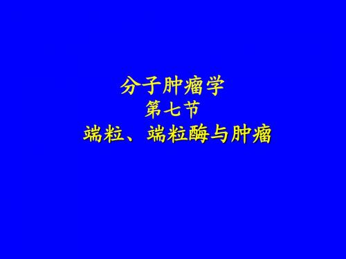 分子肿瘤学6端粒、端粒酶与肿瘤