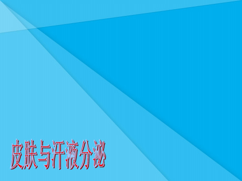 皮肤与汗液分泌PPT课件 北师大版优秀课件