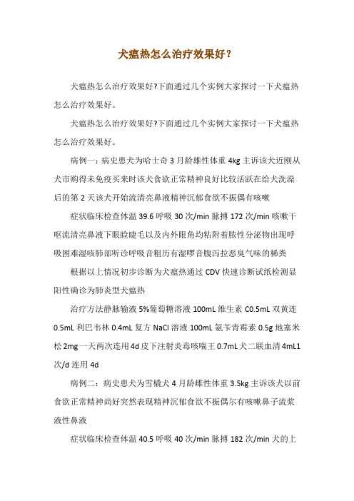 犬瘟热怎么治疗效果好？