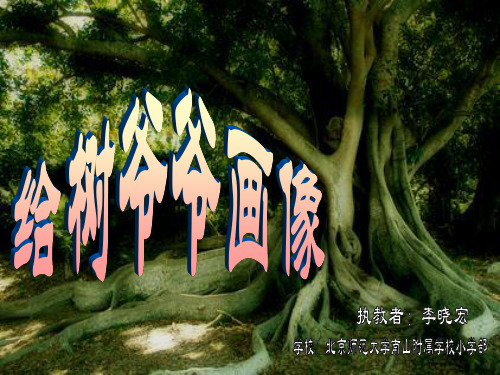 《8 给树爷爷画像课件》小学美术岭南社版二年级上册810