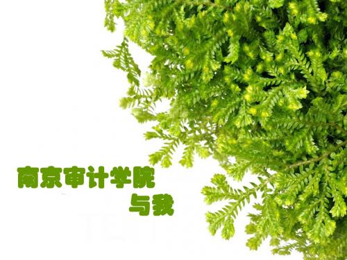 南审与我