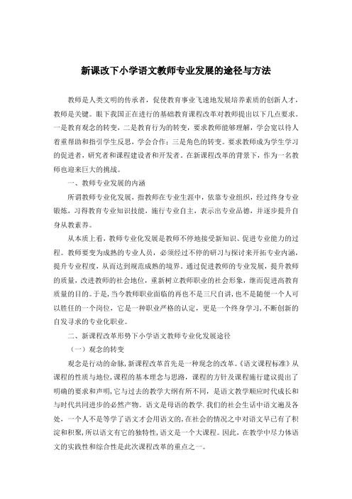 新课改下小学语文教师专业发展的途径与方法