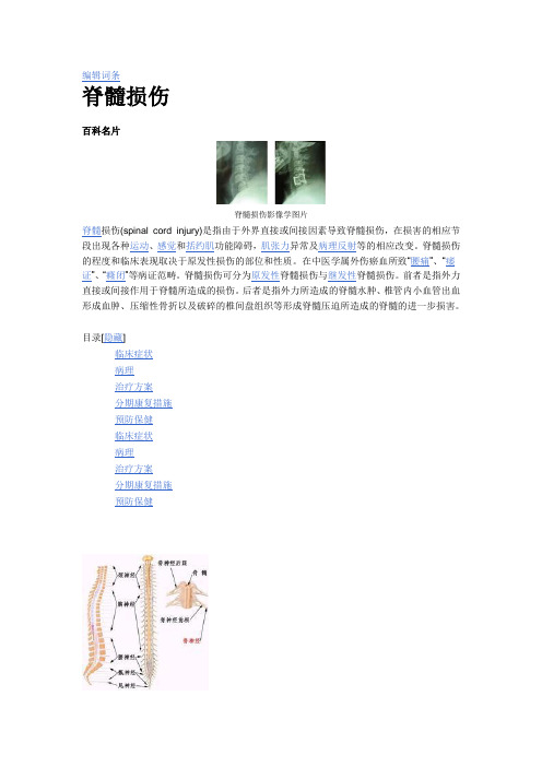脊髓损伤